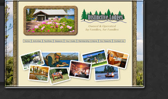Web Design by Tiffany Richards for Distinctive Lodges, MN